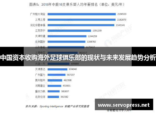 中国资本收购海外足球俱乐部的现状与未来发展趋势分析